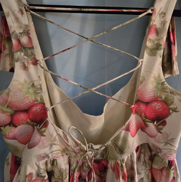 Selkie Strawberry Farmers Market Dress - XL - Picture 2 of 9
